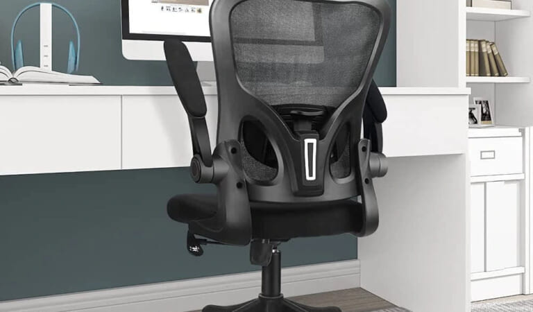 Ergonomic Office Chair for $66 + free shipping