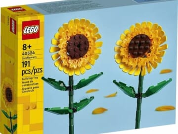 *HOT* LEGO Deals at Walmart + Earn Cash Back!