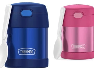 THERMOS FUNTAINER 10 Ounce Stainless Steel Vacuum Insulated Kids Food Jar Bundle