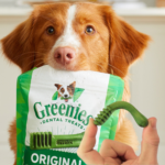 Greenies 96-Count Original Teenie Natural Dental Care Dog Treats as low as $23.09 After Coupon (Reg. $33) + Free Shipping – 24¢/Treat