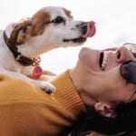 FREE SuperPet Smart ID Tag from Purina