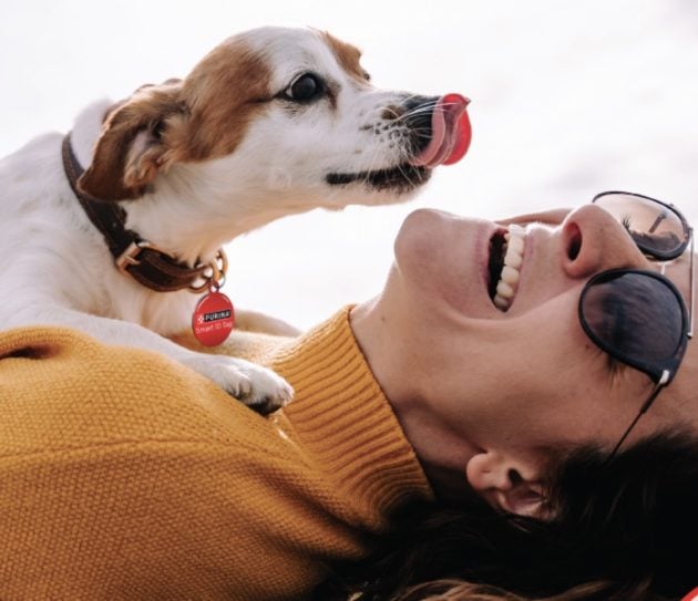 FREE SuperPet Smart ID Tag from Purina