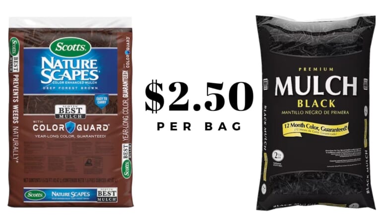 Lowe’s | $2.50 Bagged Mulch + Flower Deals