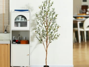 6-Foot Artificial Olive Plant for $40 + free shipping