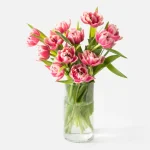 Tulip bouquet from Stems