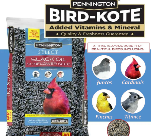 Pennington Select Black Oil Sunflower Seed Dry Wild Bird Feed, 40Lb $19.98 (Reg. $29.98) +  20Lb $15.44 or 10Lb $10.26