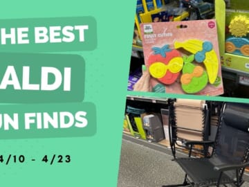 Aldi Fun Finds | Zero Gravity Chairs $39.99, Terracotta Planters $4.99 & More