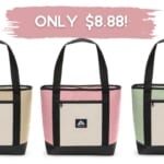 Ozark Trail 24-Can Soft Cooler Tote Only $8.88 at Walmart!