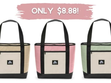 Ozark Trail 24-Can Soft Cooler Tote Only $8.88 at Walmart!