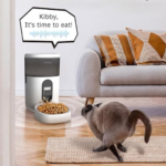Automatic 4L Cat Food Dispenser $23.99 (Reg. $60)