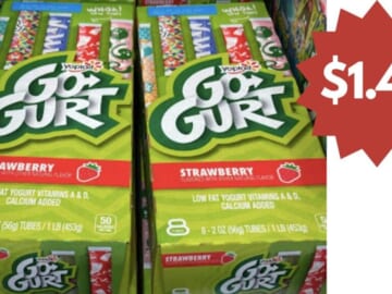 $1.49 Yoplait Go-Gurt 8-Packs | Kroger Mega Deal