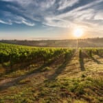 6-Night Tuscany Flight, Hotel, and Car Rental Vacation From $1,998 for 2