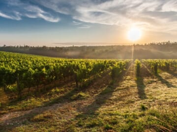 6-Night Tuscany Flight, Hotel, and Car Rental Vacation From $1,998 for 2