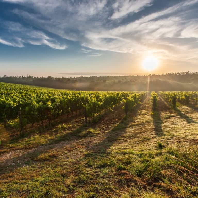 6-Night Tuscany Flight, Hotel, and Car Rental Vacation From $1,998 for 2