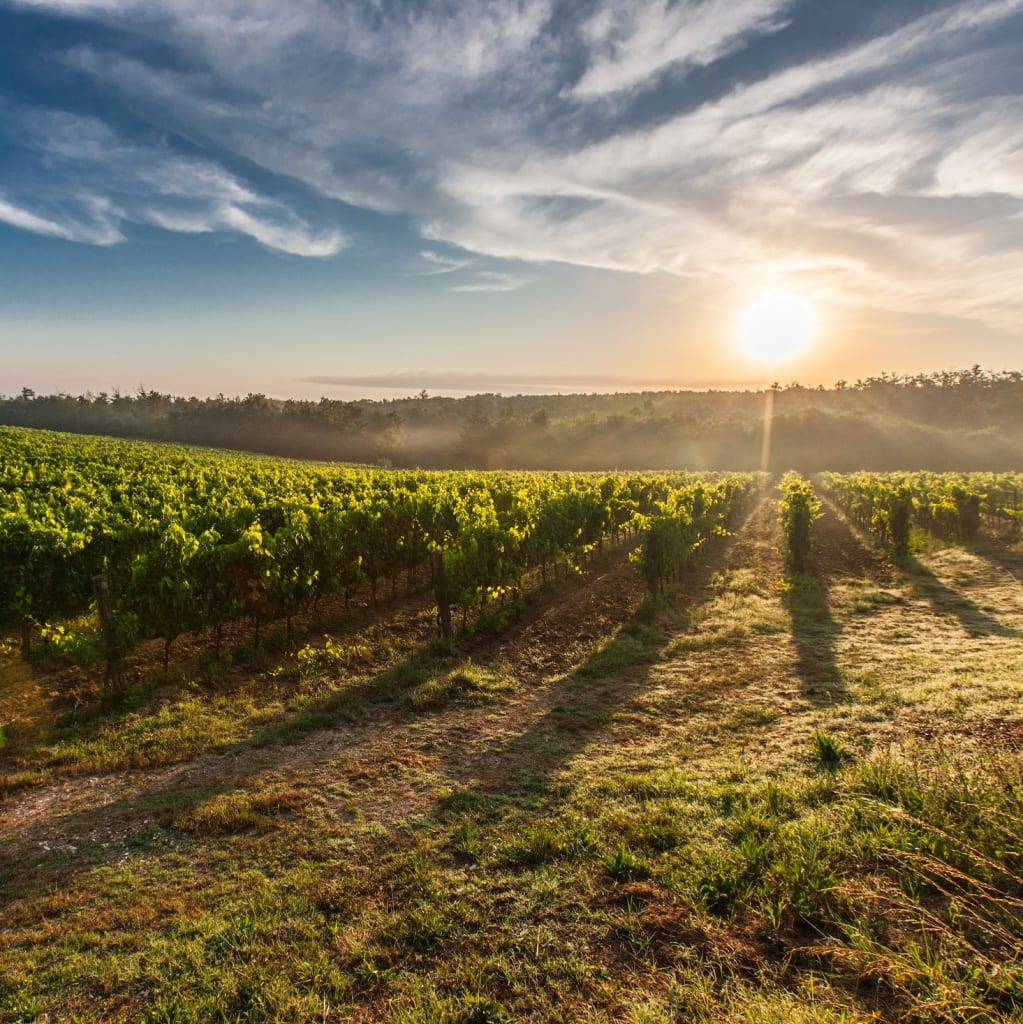 6-Night Tuscany Flight, Hotel, and Car Rental Vacation From $1,998 for 2