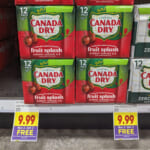 Canada Dry Fruit Splash Ginger Ale 12-Packs As Low As $3.50 Each At Kroger