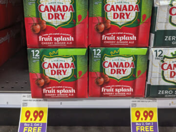 Canada Dry Fruit Splash Ginger Ale 12-Packs As Low As $3.50 Each At Kroger