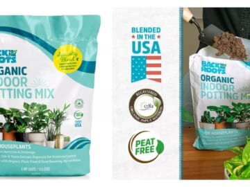 Back to the Roots Organic Indoor Potting Mix $2.49 After Ibotta Rebate