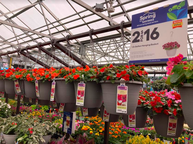 Lowe’s: Hanging Flower Baskets only $8 each!